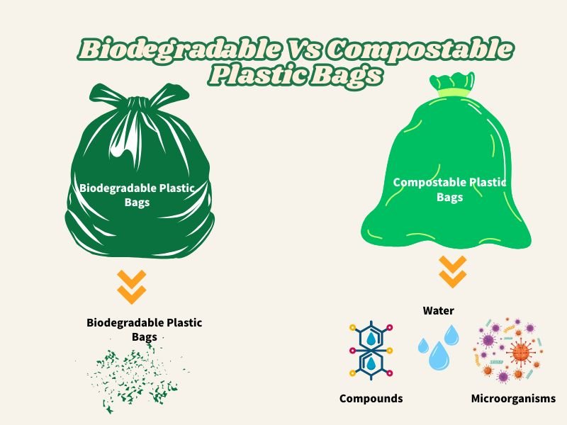 What Are Compostable Bags Made Of? 2025 Complete Guide 3 Biodegradable Vs Compostable Plastic Bags