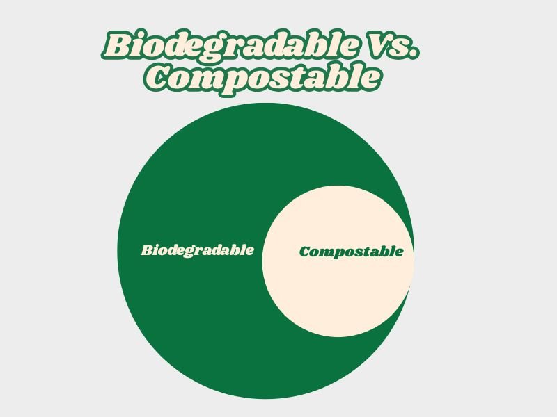 2025 What Is the Difference Between Biodegradable and Compostable 2 Biodegradable Vs. Compostable