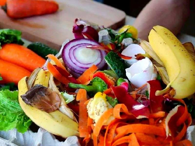 What Are Compostable Bags Made Of? 2025 Complete Guide 2 Compostable Trash