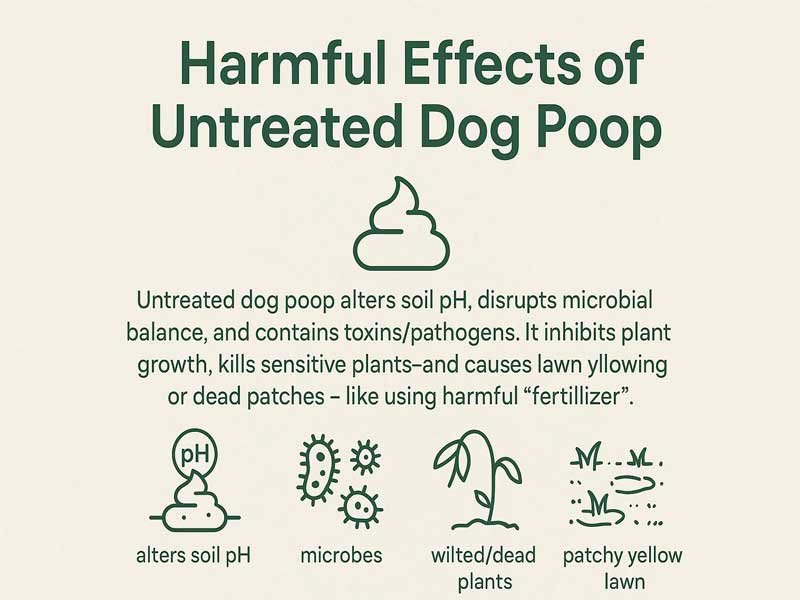 How to Dispose Dog Poop Bags: Which Bin to Use (2026) 5 Dog feces can alter the pH level of the soil