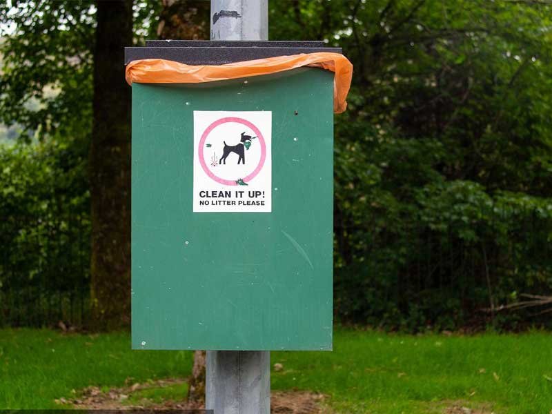 Dog poop trash can