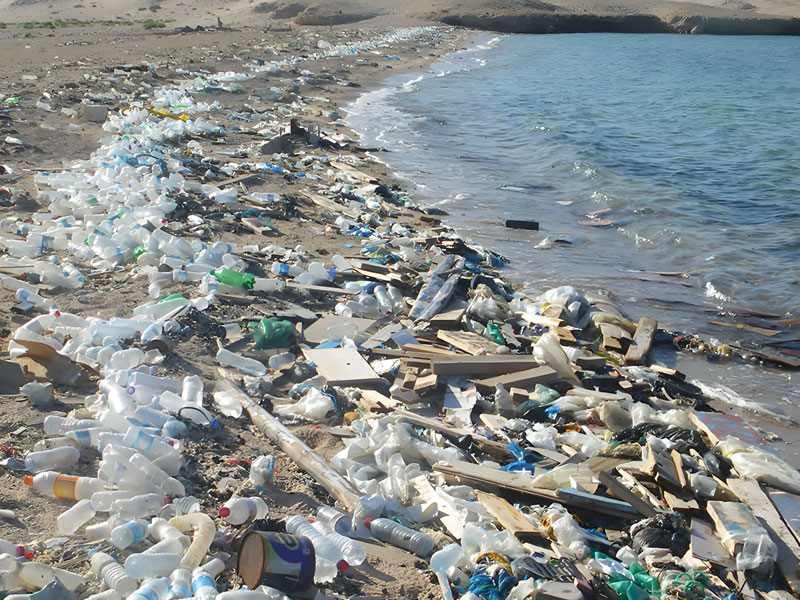 2025 Gudie : How Long Does It Take for Biodegradable Plastic to Decompose 3 Environmental Impacts of Bioplastics