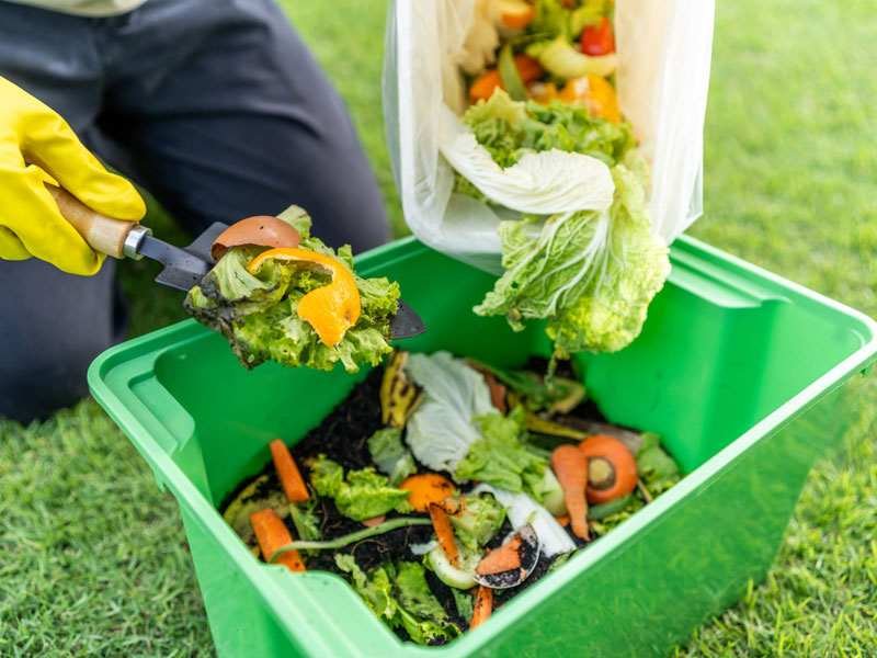 2025 What Is the Difference Between Biodegradable and Compostable 10 Home Composting