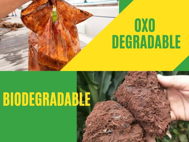 OXO Degradable vs Biodegradable