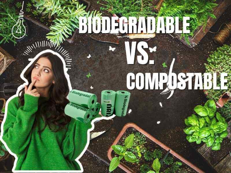 What Is the Difference Between Biodegradable and Compostable
