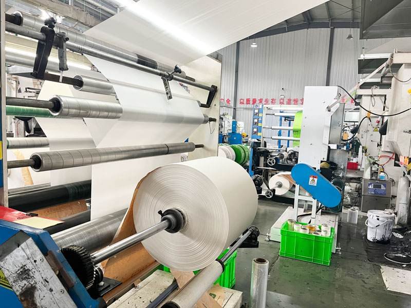 Ultimate Guide to the Biodegradable Plastic Bags Manufacturing Process 4 china-biodegradable-bag-manufacturer