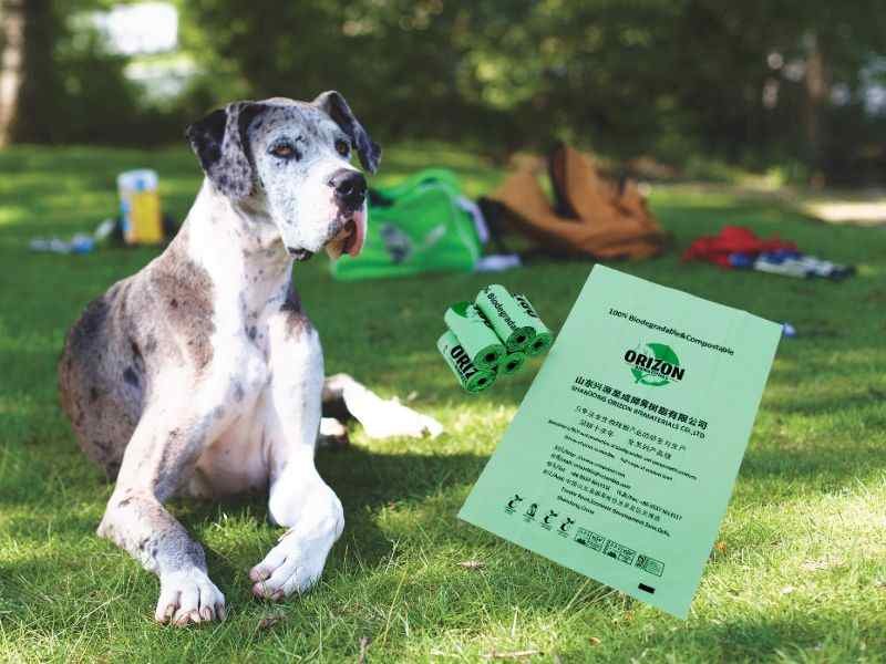extra large dog poop bags with handles